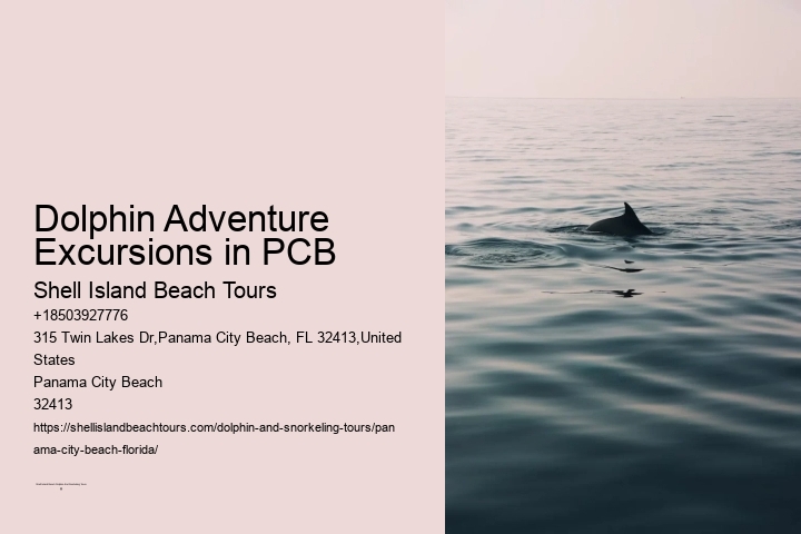 Dolphin Adventure Excursions in PCB