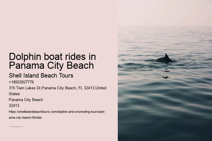 Dolphin boat rides in Panama City Beach