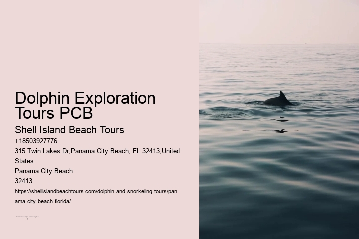 Dolphin Exploration Tours PCB