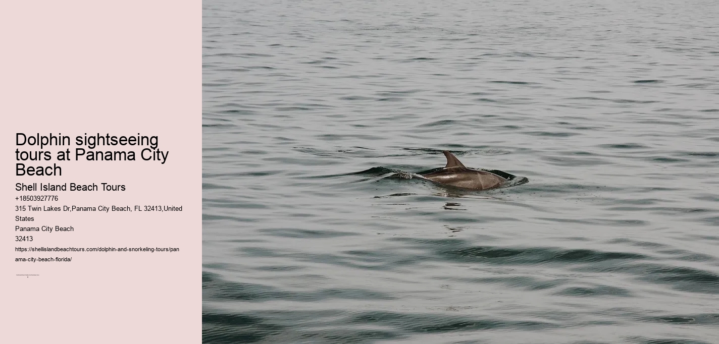 Dolphin sightseeing tours at Panama City Beach