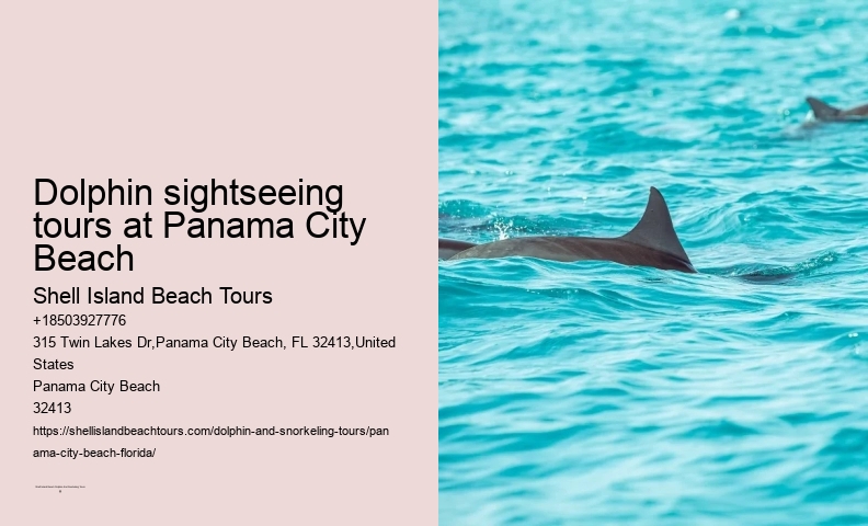 Panama City Beach dolphin boat excursions