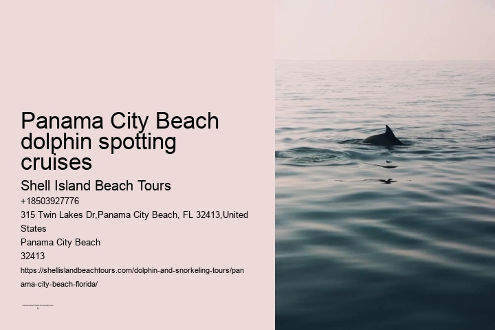 Panama City Beach dolphin spotting cruises