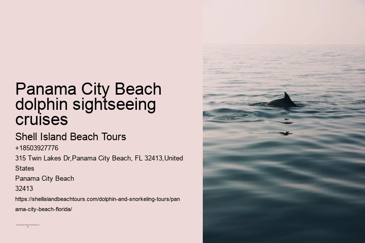 Panama City Beach dolphin sightseeing cruises