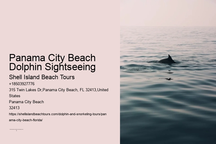 Panama City Beach Dolphin Sightseeing