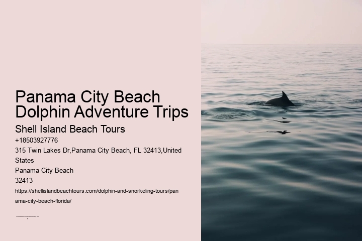 Panama City Beach Dolphin Adventure Trips