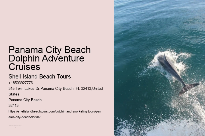 Panama City Beach Dolphin Tours Prices