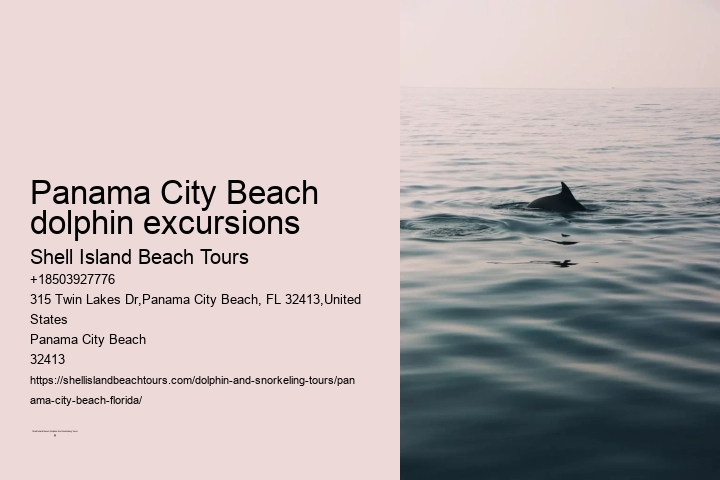 Dolphin Exploration Cruises in Panama City Beach