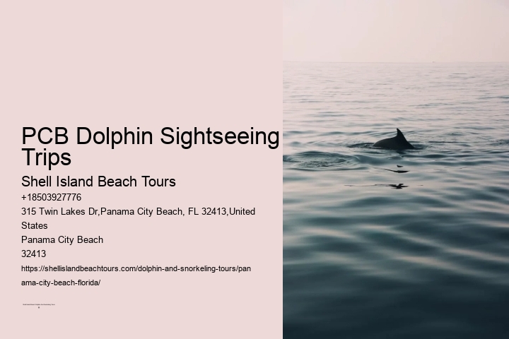 PCB Dolphin Sightseeing Trips